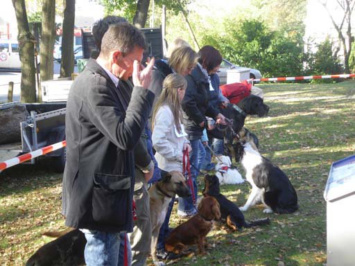 Kleintierschau 2011