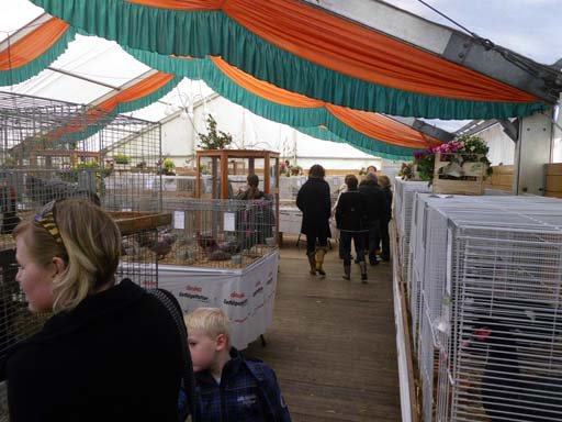 Kleintierschau 2011