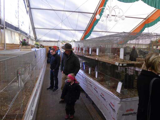 Kleintierschau 2011