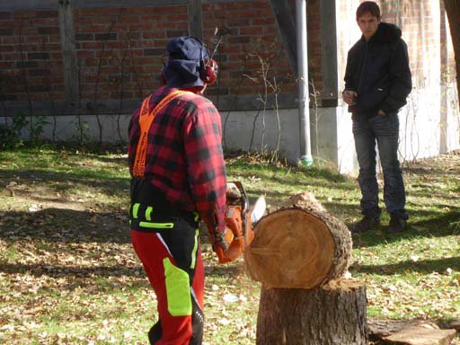 Kleintierschau 2011