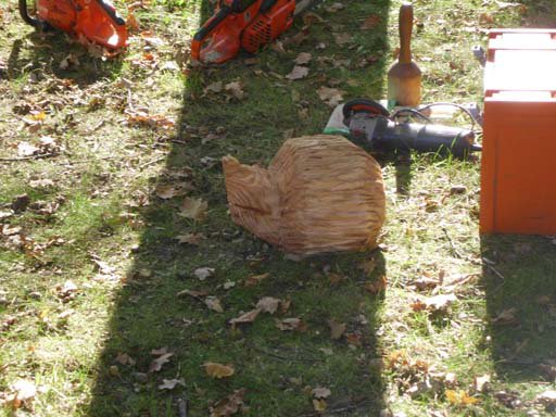 Kleintierschau 2011