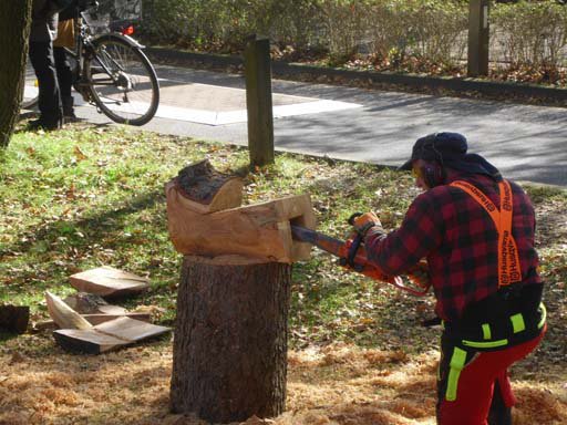 Kleintierschau 2011