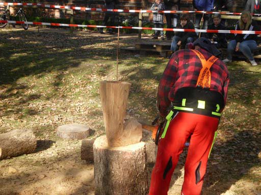 Kleintierschau 2011