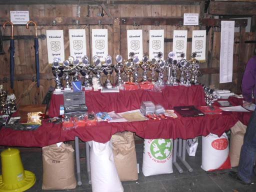 Kleintierschau 2011