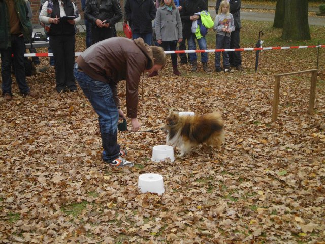 Kleintierschau 2013